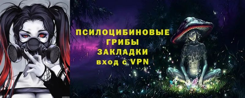 как найти закладки  Крымск  мега рабочий сайт  Галлюциногенные грибы Cubensis 